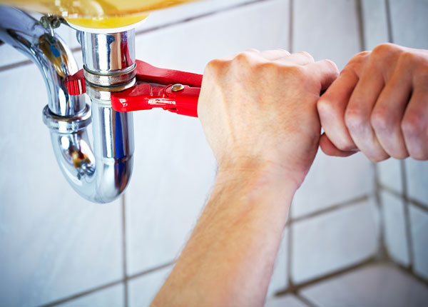 About Disney Plumbers